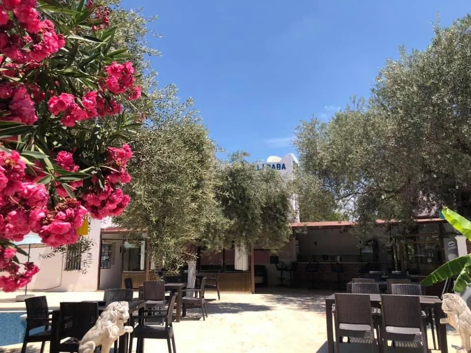**  Ali Baba Hotel Guembet Turkey
