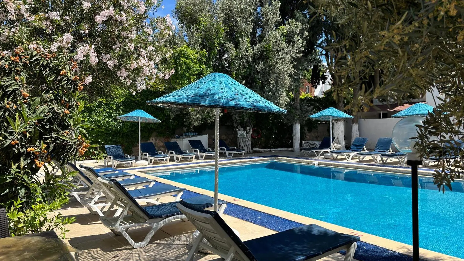 Ali Baba Hotel Guembet Gumbet