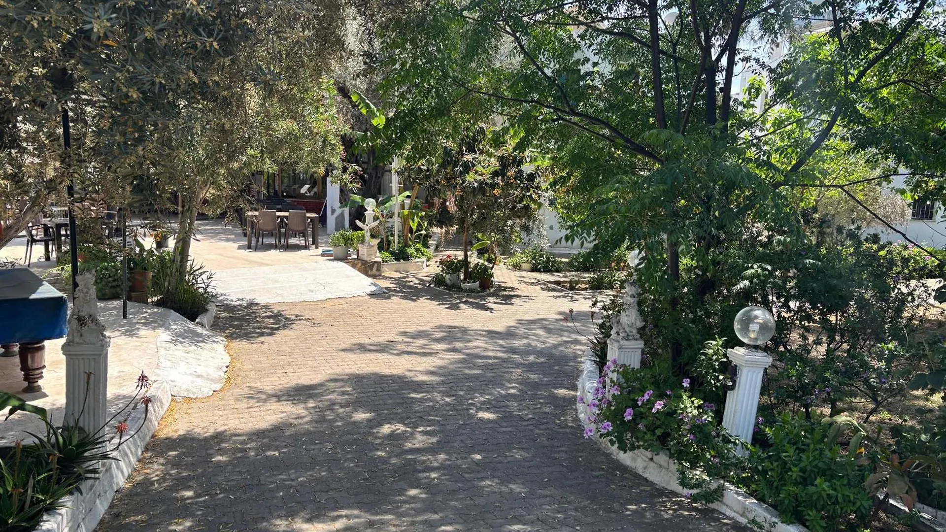 Ali Baba Hotel Guembet Turchia