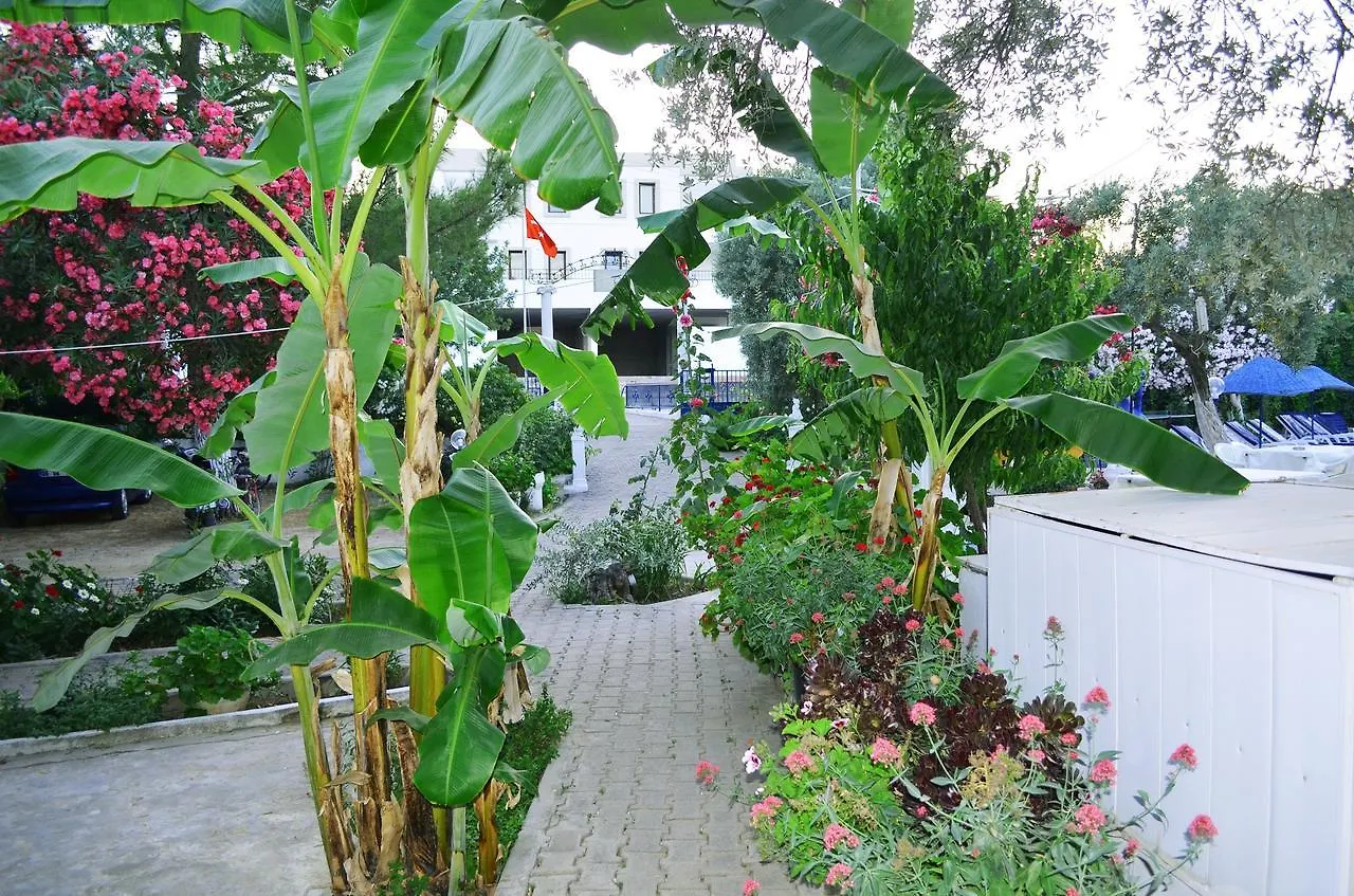 Ali Baba Hotel Guembet Turchia