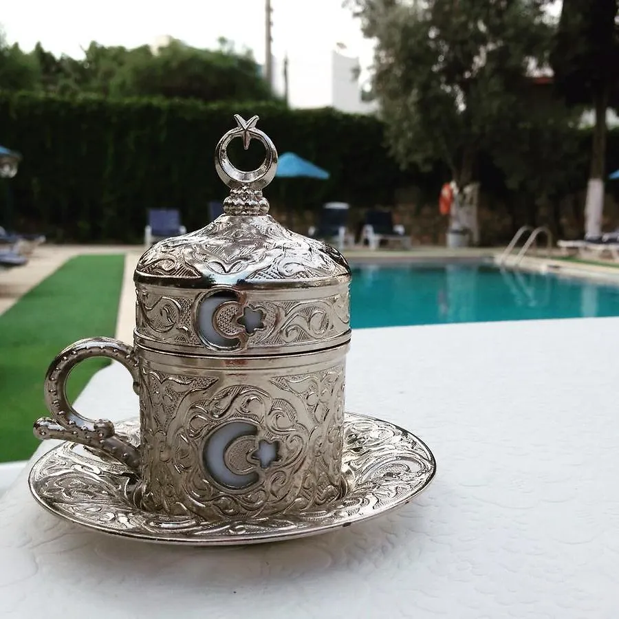 Ali Baba Hotel Guembet 2*, Gümbet Turchia