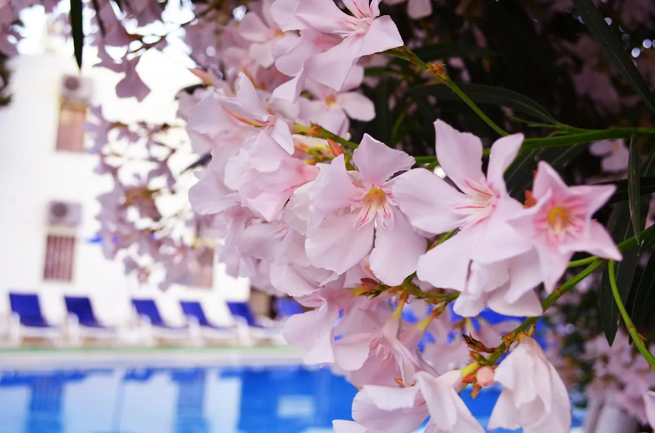 Ali Baba Hotel Guembet  Gümbet